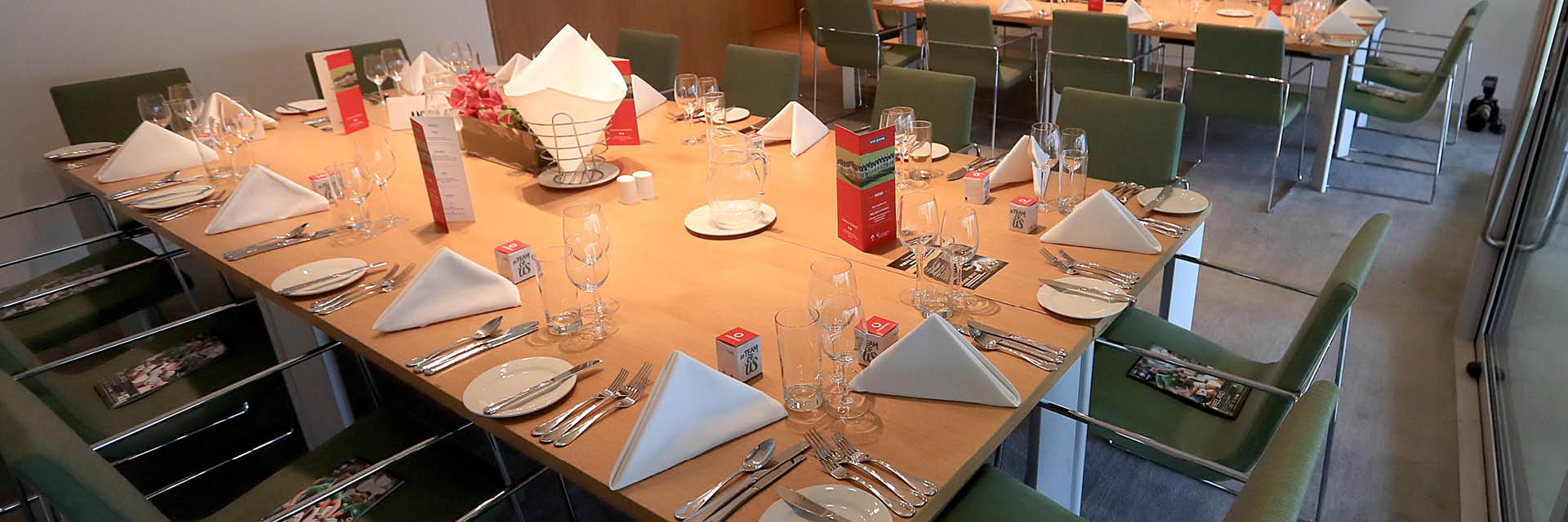 Aviva stadium facilites