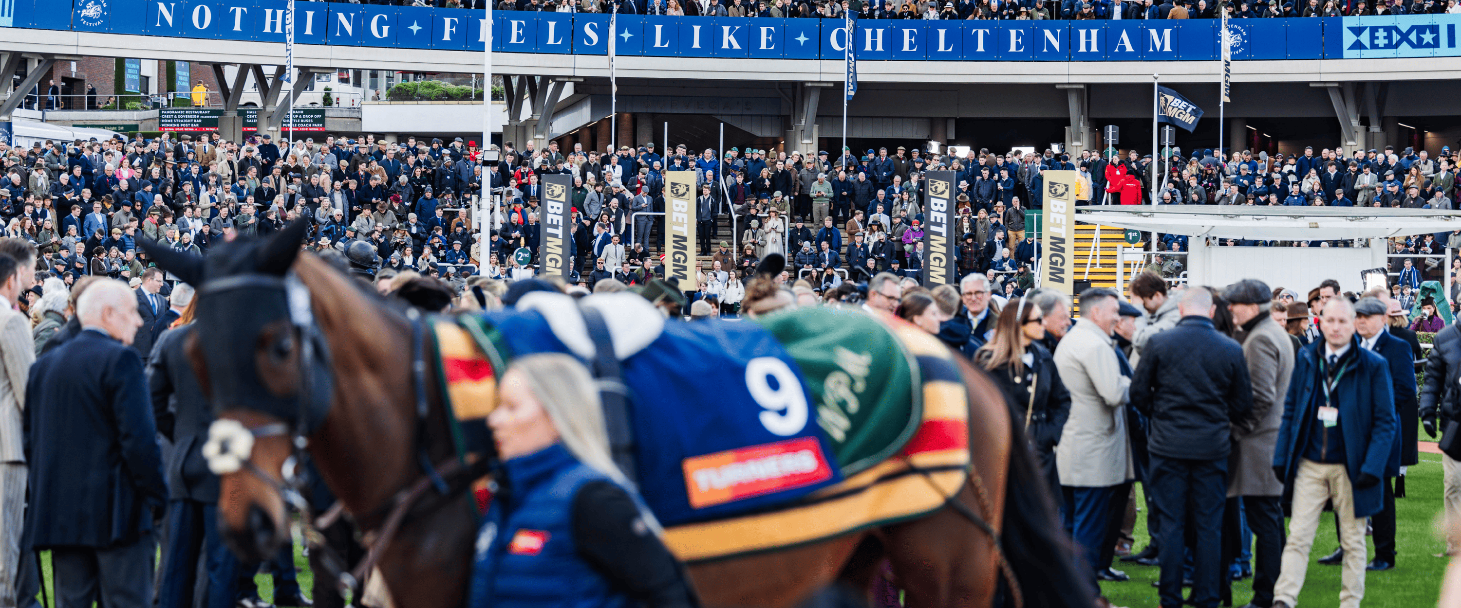 The stands at Cheltenham Festival with a horse being walked around the racetrack