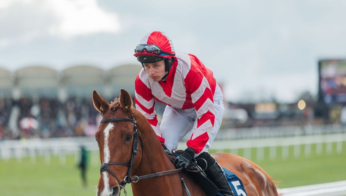 Horse Image 1