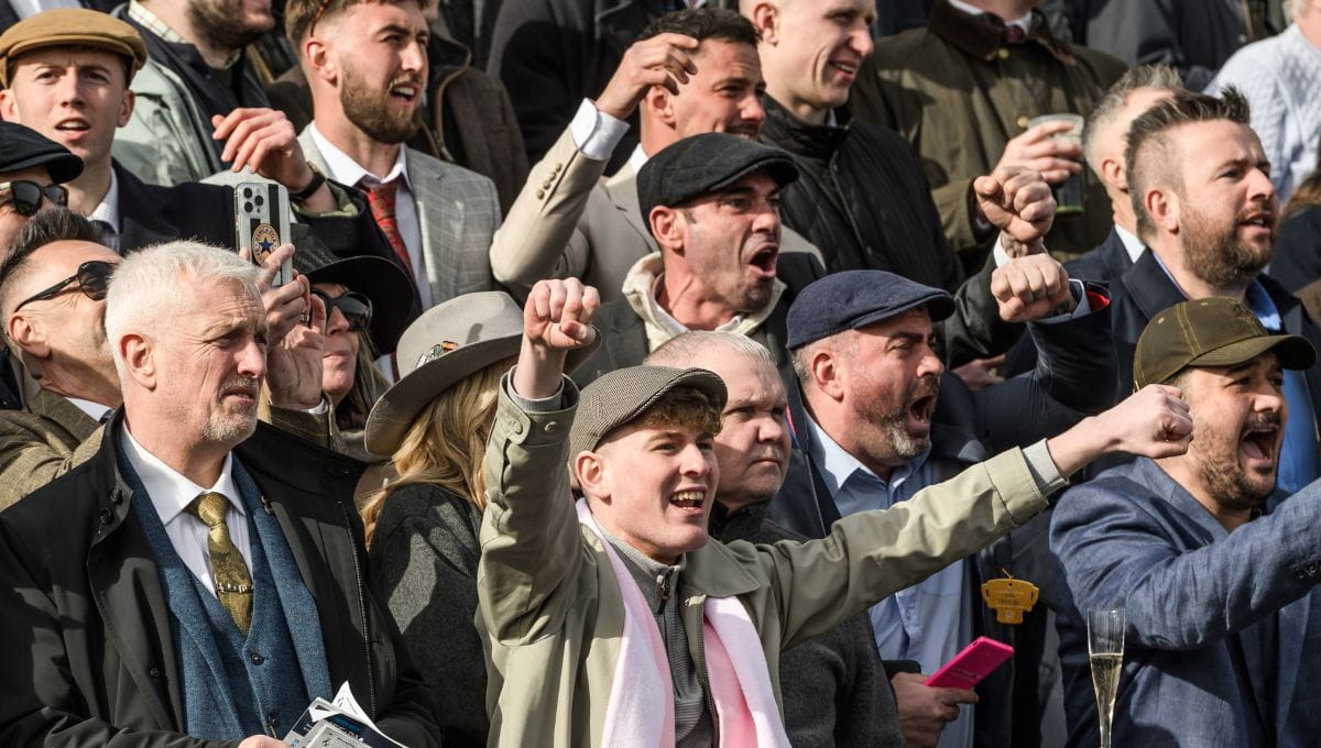 Guests at Cheltenham Festival